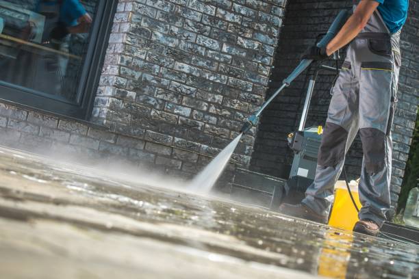 Best Pre-Holiday Cleaning  in Hallstead, PA