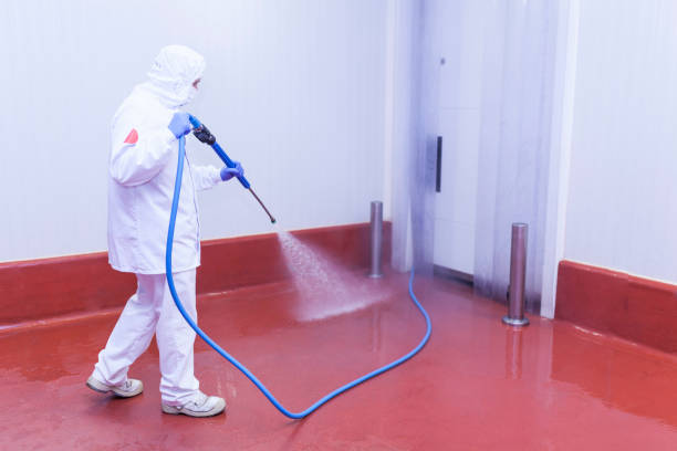 Best Post-Construction Pressure Washing  in Hallstead, PA